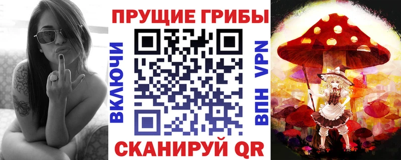 Псилоцибиновые грибы Psilocybine cubensis  Нахабино 